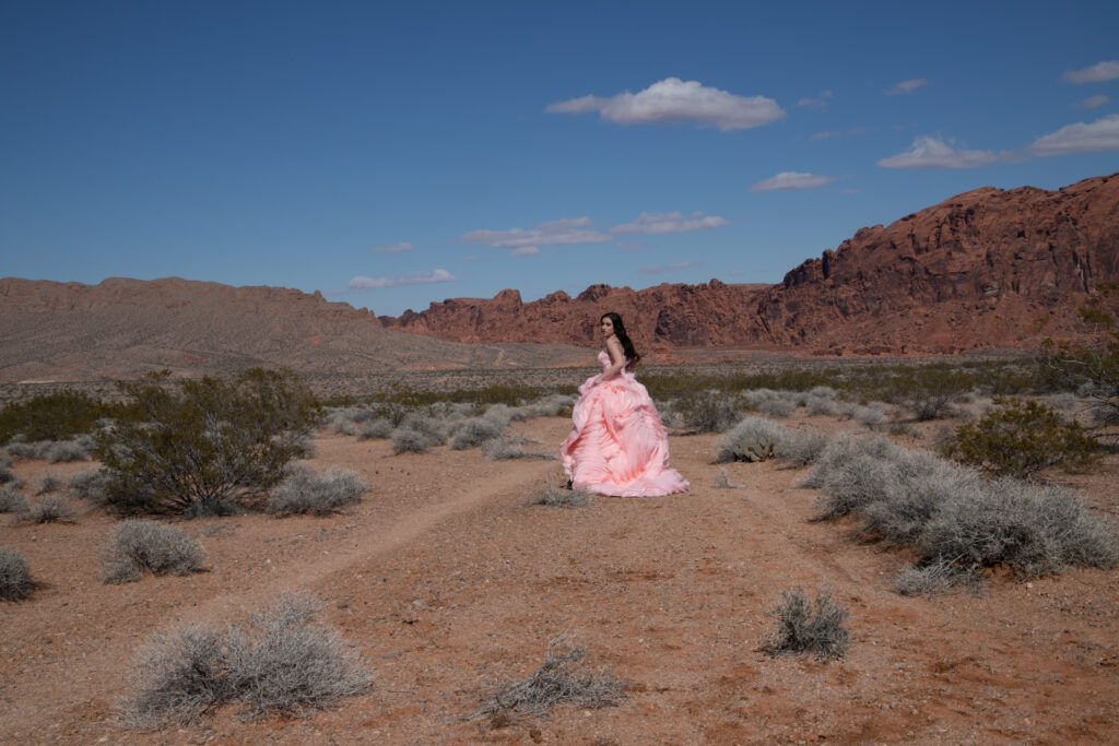 Luxury portrait of a woman in a flowing pink gown amidst the red rock desert landscape of Nevada.